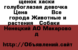 щенок хаски  голубоглазая девочка › Цена ­ 12 000 - Все города Животные и растения » Собаки   . Ненецкий АО,Макарово д.